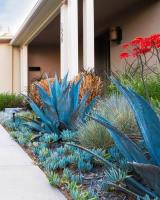 Campos Greenview Landscape & Tree Service image 2